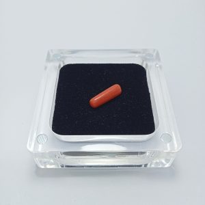 Red Coral